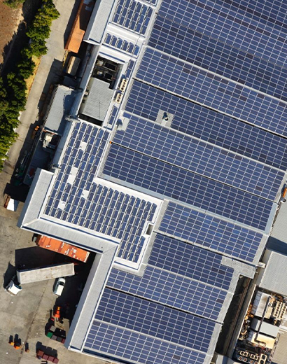 Why Businesses Choose Mass Renewables